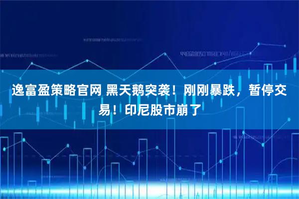 逸富盈策略官网 黑天鹅突袭！刚刚暴跌，暂停交易！印尼股市崩了